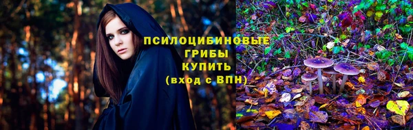 эйфоретик Белокуриха