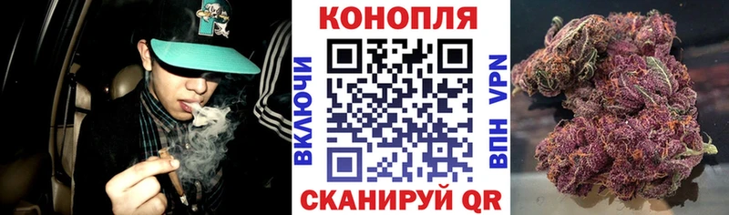 дарк нет Telegram  Тулун  Канабис семена 